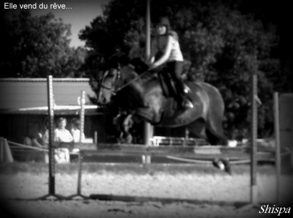 http://cheval-forever.cowblog.fr/images/4.jpg