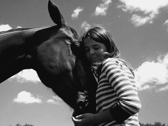 http://cheval-forever.cowblog.fr/images/Toscane-copie-1.jpg